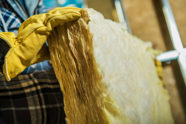 Best Geographic-Specific Insulation Services in Indian Springs Village, AL